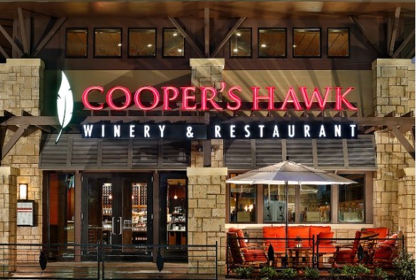 Cooper's Hawk